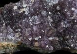 Purple Amethyst Cluster - Turkey #55352-1
